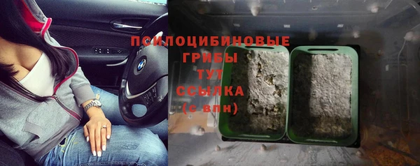 ГАЛЛЮЦИНОГЕННЫЕ ГРИБЫ Нефтекумск